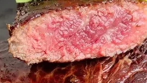 Das sagen unsere Kunden...